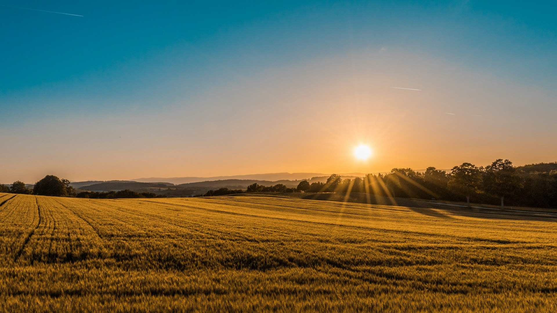 From Our Fields to Your Family Table