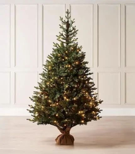 Norway Christmas Tree