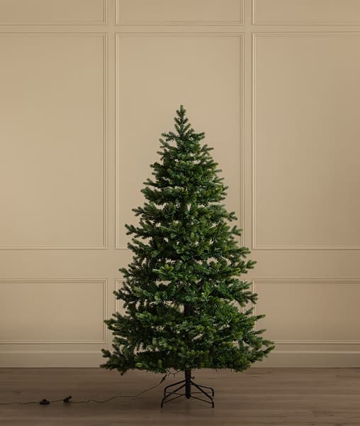 How to Choose the Perfect Christmas Tree